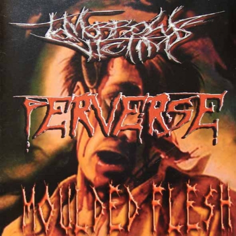 Tomorrow's Victim / Perverse / Moulded Flesh - A Darker Day Now Dawn's... / Blast Of Stench / Indulgence (CD)