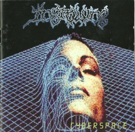 Ingrowing - Cyberspace (CD)