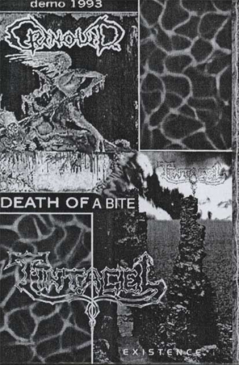 GRENOUER / TINTAGEL - Death of a Bite / Existence