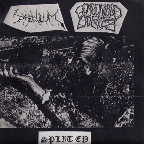 Speculum / Gorgonized Dorks - Split EP (Vinyl EP)
