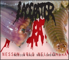 Lacerater - Nessun Urlo Nell'Ombra (CD)