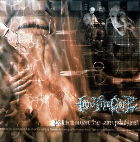 Into The Gore - Pain Must Be Amplified (CD)