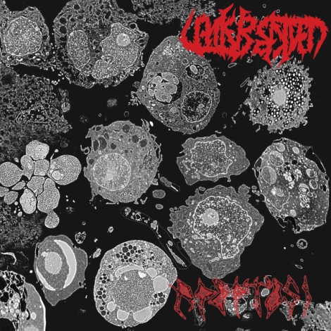Unkreated - Apoptosi (CD)