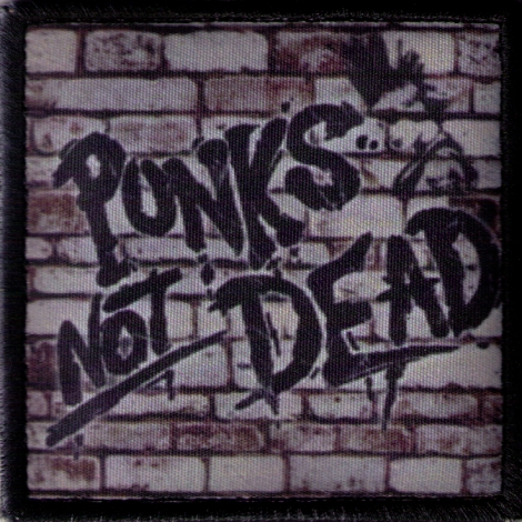 PUNKS NOT DEAD 04 - Nasprejovaný nápis na stene