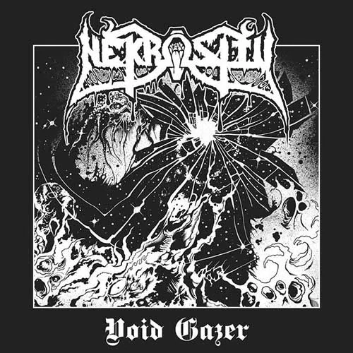Nekrosity: Void Gazer (CD)