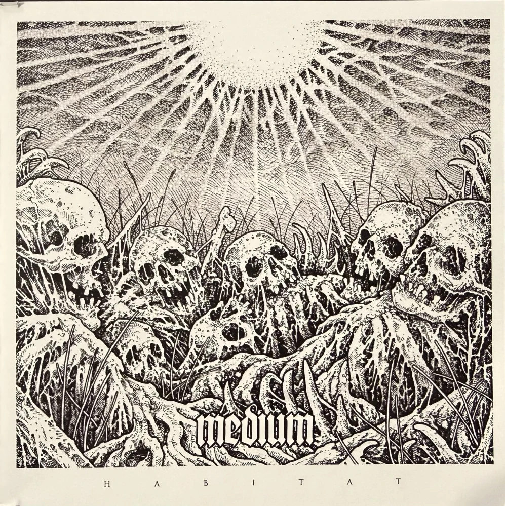 Medium: Habitat (CD)
