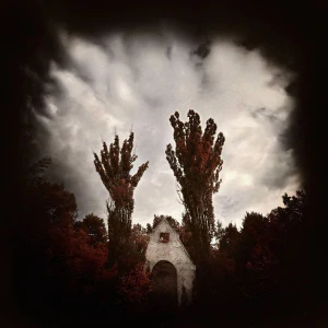 Neurotic Machinery: Causality Principle (CD)
