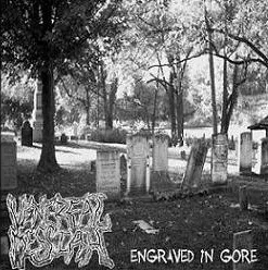 Venereal Messiah: Engraved In Gore (CDr)