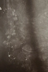 Moon Of The Wind: Alone in Painful Dawn (Depression in Mortification Life) (MC)