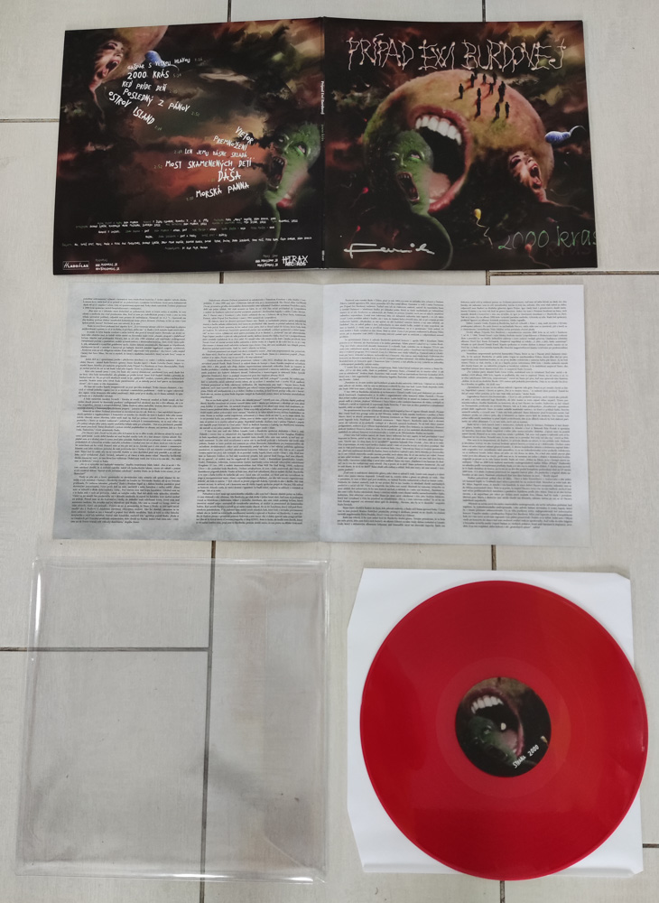 Prípad Ewi Burdovej: 2000 krás (LP)