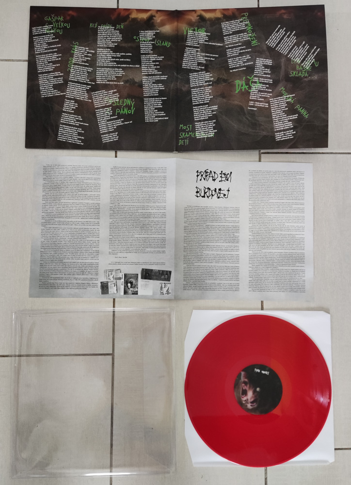 Prípad Ewi Burdovej: 2000 krás (LP)