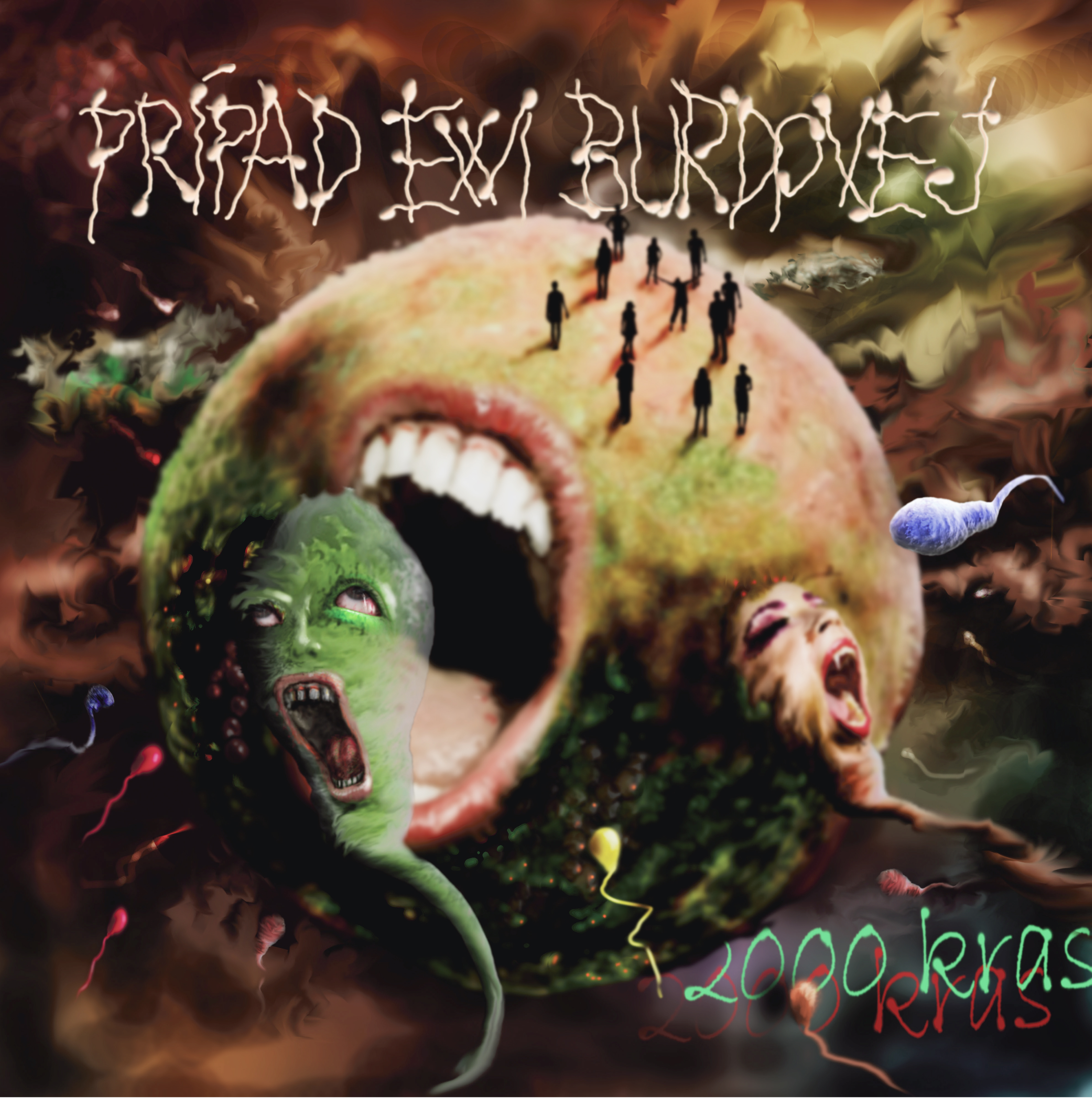 Prípad Ewi Burdovej: 2000 krás (LP)