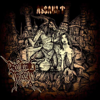 Screaming Forest: Assault (CD)