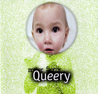 Mother Factor: Queery (CD)