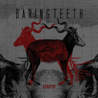 Baring Teeth: Atrophy (CD)