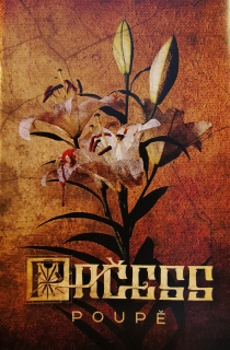 Pačess: Poupě (MC)