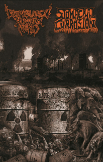 Disfigured Human Mind / Stomachal Corrosion: Somos Apenas Ratos Do Esgoto (MC)