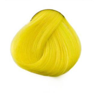 ŽLTÁ (Directions): Bright Daffodil