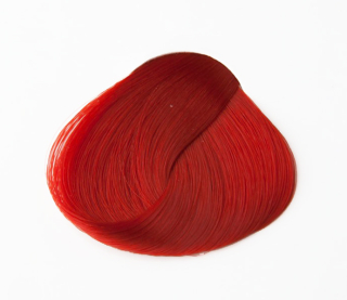 ČERVENÁ (Directions): Coral Red