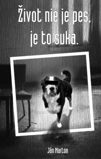 Život nie je pes, je to suka: Poetický debut Martona