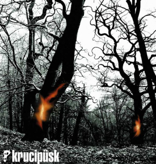 Krucipüsk: Druide! (CD)