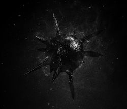 Dominion of Suffering: The Birth Of Hateful Existence (CD)