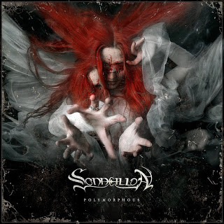 Sonneillon: Polymorphous (CD)