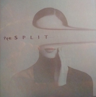 The Split: Reminiscences (CD)