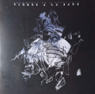 Vidres A La Sang: Fragments De L'Esdevenir (CD)