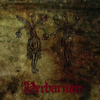 Turdus Merula: Herbarium (CD)