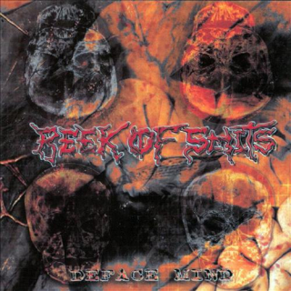 Reek Of Shits: Deface Mind (CD)