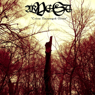 Arvest ‎: Clezy pilajusej oceni / Слёзы Пылающей Осени