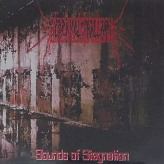 Black Mold Phallanx: Sounds of Stagnation (CDr)