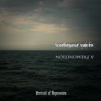 Woebegone Voices / A Premonition: Portrait of Depression (CDr)
