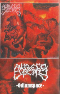 Angel´s Decay: Odiumspace (MC)