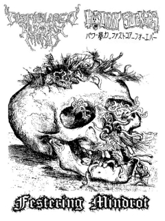 Disfigured Human Mind / Holidaysuckers: Festering Mindrot (MC)