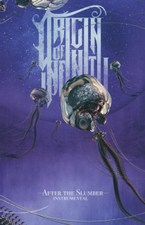 Origin Of Infinity ‎: After The Slumber Instrumental (MC)
