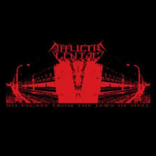 Afflictis Lentae / Zebarges: Split (LP)