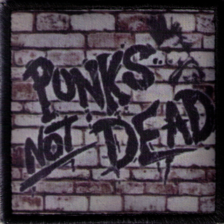 PUNKS NOT DEAD 04: Nasprejovaný nápis na stene
