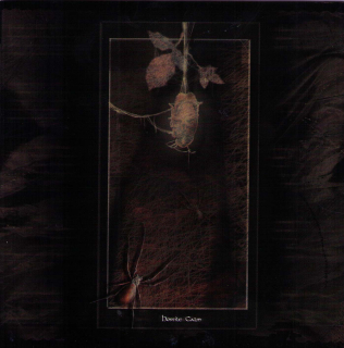 Hostile Calm: Hostile Calm (CD)