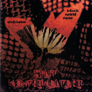 Ucházím / Black Spirit Rose: Split Kontrakultura (CD)