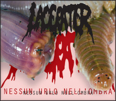 Lacerater: Nessun Urlo Nell'Ombra (CD)