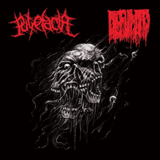 Putrefacta / Defunto: A Face Dos Defuntos Putrefactos (CD)